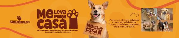 doacao cachorro prefeitura